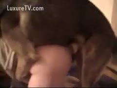 Brown dog lashes out at a white, hawt wife